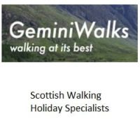 Gemini Walks